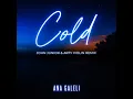 Cold (John Junior & Arty Violin Remix)