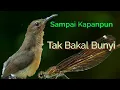 Download Lagu Sebab Sogon Ombyokan tak Mau Bunyi