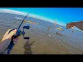 Murray cod Casting Mulwala thru the heat