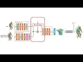 Self-supervised Garment Dynamics with Persistent Wrinkles ECCV 2026