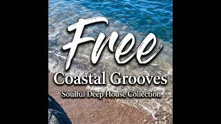 free coastal deep house grooves 4k north shore session