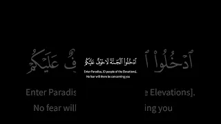 ادخلوا الجنة لاخوف عليكم ولا أنتم تحزنون  سعد الغامدي  كرومات قرآن         قرآن  خلفيات للمونتاج دندنها