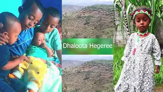 Shifarraa Mangistuu Abbaa Dhufeeraa New Oromo Music OROMIYAA MAGARIITUU 2025 