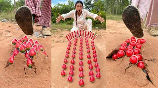 Survival Skills: SMART idea and USEFUL in Forest #bushcraft #camping #outdoors #ideas 