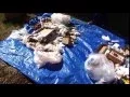 Residential Waste Characterization