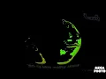Download Lagu Larva Intro School Effect G-Major 4