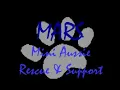 So you re interested in a Mini Aussie Mini American Shepherd
