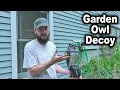Owl Decoy to Protect Garden From Critters HiAnifri Scarecrow for birds mice chipmunks etc