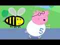 Download Lagu Sponsorloop 🌟 Tekenfilm | Peppa Pig Nederlands Compilatie Nieuwe