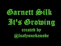 Garnett Silk - It's Growing (Lyrics)