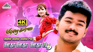 Ootha Ootha Poo 4K Video Song Minsara Kanna Tamil Movie Songs Vijay Rambha Monicka Deva 