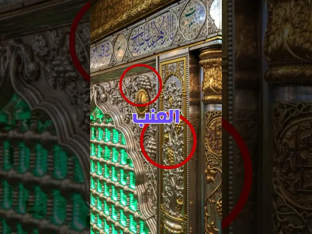 ⁣ليش اكو عنب على ضريح أمير المؤمنين (ع) 🍇‼️