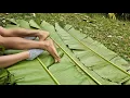 Download Lagu The girl went into the forest to get leaves to make cakes and set up a tent to rest