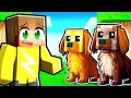 Download Lagu Ollie En Moos Zijn Terug In Kleurstad (Minecraft Survival)