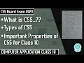 CSS Class 10 Class 10 Computer Application Chapter 5 Cascading Style Sheet - One Shot