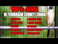 Download Lagu KICAUAN BURUNG CENDET FULL ISIAN MEWAH BIKIN CENDET YANG DENGAR LANGSUNG GACOR