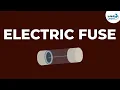 What is an Electric Fuse Don t Memorise