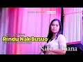 Download Lagu RINDU NAK BUSUO || Cipt. Hendrizal(NADA PRO), Cover. NILKA ULTIANA || HaNan Official || LAGU KERINCI