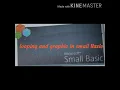 Ch-4 looping and Graphic In Small Basics
