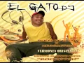Download Lagu El gato DJ - Anima Mix