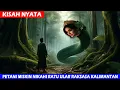Download Lagu KISAH NYATA PETANI MISKIN KAWIN DENGAN RATU ULAR RAKSASA DI HUTAN KALIMANTAN JADI KAYA RAYA