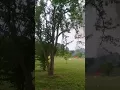 Shooting a Fridge full of tannerite