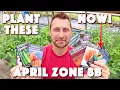Best Vegetables To Plant In April For Zone 8b Texas