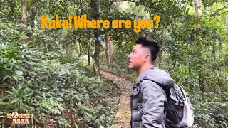 Let s see how difficult the journey to find Monkey Kaka was