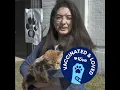 Give Pets Their Best Shot Petco Love Care