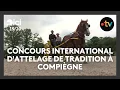 The International Traditional Driving Competition in Compiegne