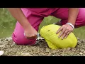 Download Lagu The girl cought a huge yellow clam alive !