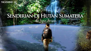 Download Sendirian di Hutan Sumatera - Air Terjun Daerah Riau MP3