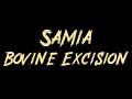 Samia - Bovine Excision Instrumental