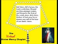 Divine Mercy Chaplet (spoken) (virtual)