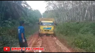 perjuangan seorang kuli mencari rejeki di kebun sawit