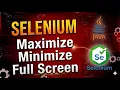 How to Maximize Minimize Full Screen Browser in Selenium with Java