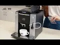 JAVA Fully Auto Espresso Machine WSD18-010A
