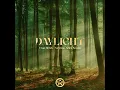 Eran Hersh x York feat  Arlen Seaton - Daylight