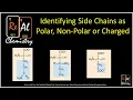 Identifying amino acid side chains as polar non-polar or charged - Real Chemistry