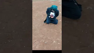 السيد حسين النعيمي ضرب سلاح دندنها