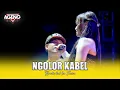 Lagu NGELER KABEL -  BRODIN FEAT IVA JENIVA- AGENG MUSIC