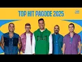 Download Lagu Playlist: Top Hit Pagode 2025 ☀️