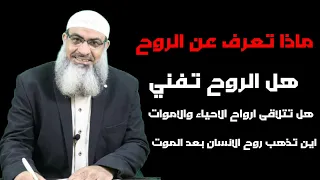 ماذا تعرف عن الروح دندنها