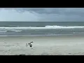 Ocean View - Myrtle Beach South Carolina