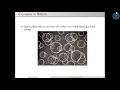 Introduction to Numerical Optimization - Part 1