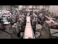 Scott - Automated Lamb Processing at JBS Bordertown