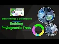 Phylogenetic Tree Construction Python