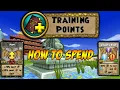 Wizard101 - Training Points and What to Spend Them on