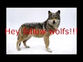 wolf spell NO SIDE EFFECTS NO FULL MOON WORKING 2017