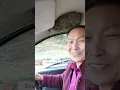 Download Lagu Man Calmly Keeps Driving With Thousands of Bees in His Car #shorts